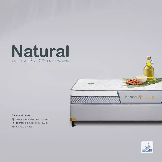 NỆM CAO SU DẦU CỌ