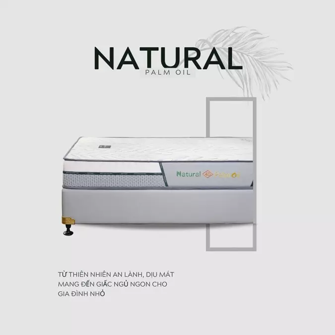 NỆM CAO SU DẦU CỌ