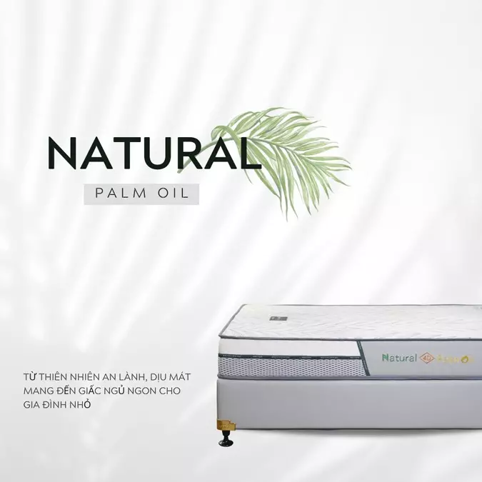 NỆM CAO SU DẦU CỌ