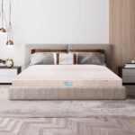 NỆM CAO SU LIÊN Á 5ZONE PREMIUM