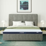 NỆM CAO SU LIÊN Á L'A DOME COOL