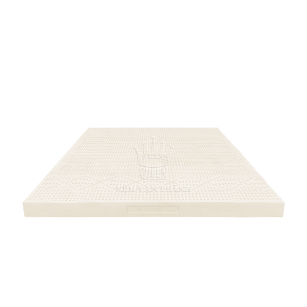 nem-cao-su-segovia-trang-01