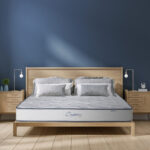 NỆM LÒ XO LIÊN Á CASSARO FIRM