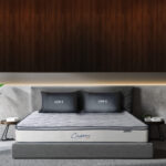 NỆM LÒ XO LIÊN Á CASSARO PLUSH